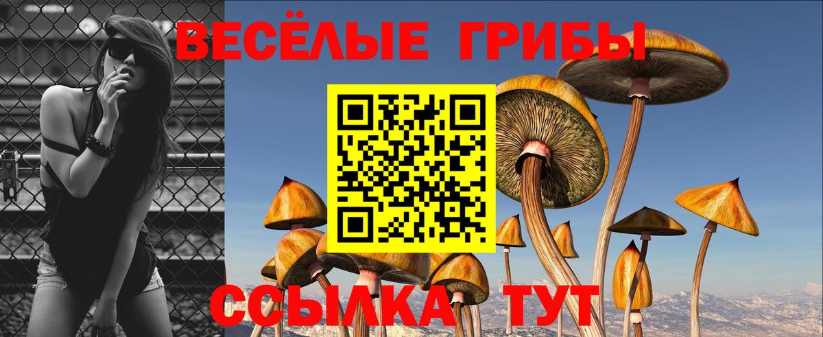 Галлюциногенные грибы MAGIC MUSHROOMS  Вход с VPN  Ялуторовск 