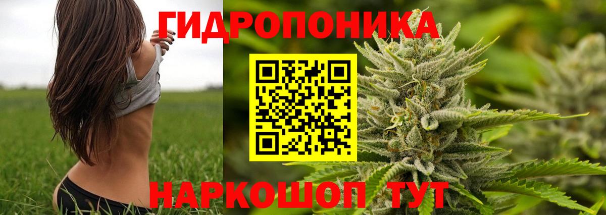 Конопля VHQ  Бошки марихуана сатива  Ялуторовск  Вход с VPN  МАРИХУАНА индика 